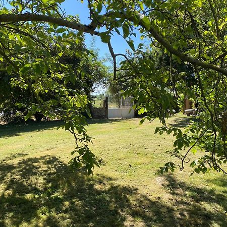Villa Les Anges Bleus Chavannes-Sur-Reyssouze Esterno foto